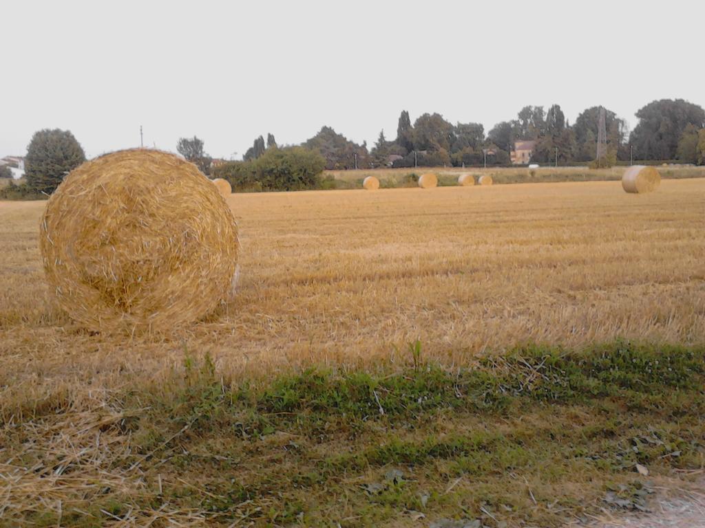 Bed and Breakfast Green Fields Padua Exterior foto